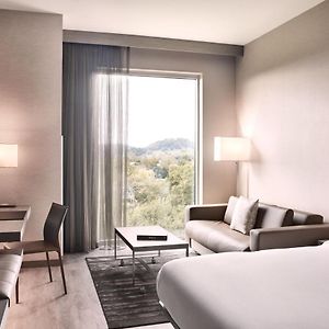 King Room Park View